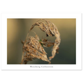 342284f3-13e0-43cb-8d70-58fad5bafbd1